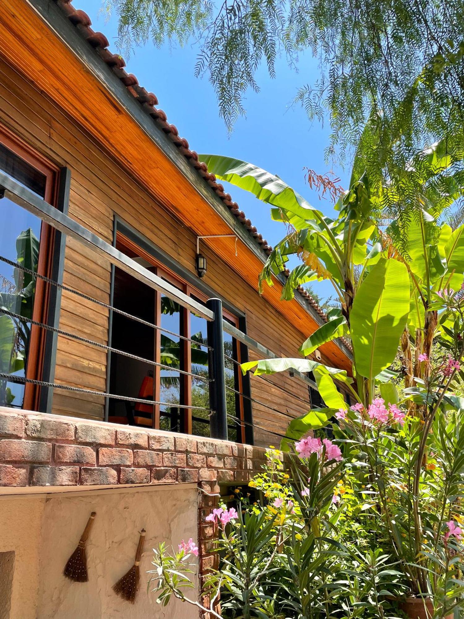 Ata Boutique Hotel Çeşme Exteriér fotografie